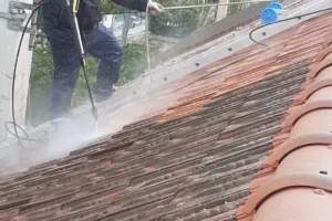 Démoussage de toit Seine et Marne (77), Nettoyage de toit Seine et Marne (77)