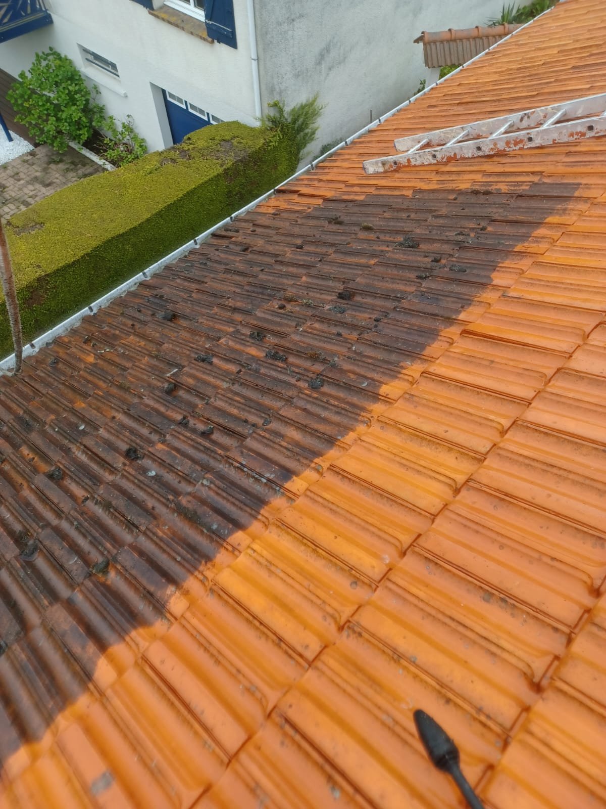 Démoussage de toit en Seine et Marne par Net Toiture | Entreprise de couverture et Rénovation