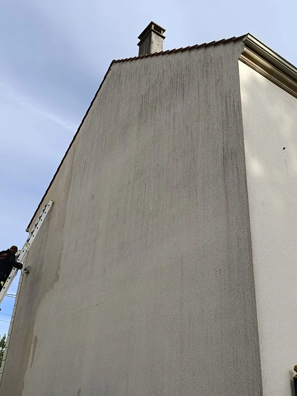 Traitement des algues rouges en Seine-et-Marne