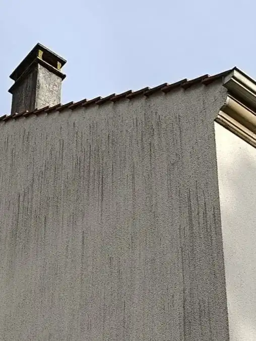 Traitement de algues rouges sur façade en Seine-et-Marne 77
