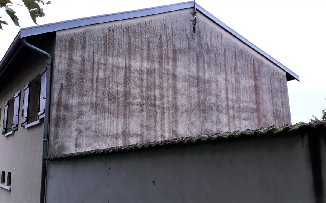 comment retirer algues rouges facade des maisons traitement et solution atriome | Toiture Net 77 | Votre spécialiste de la couverture de toit 77 et de la rénovation 77 en Seine-et-Marne